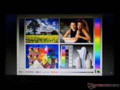 Kleine TN-Blickwinkel