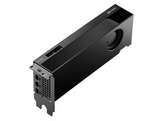 Mit der RTX 2000 Ada soll Nvidia bald eine besonders sparsame Profi-GPU vorstellen. (Bild: PNY)