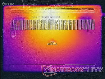 Witcher-3-Last (unten)