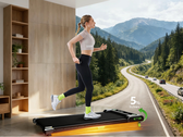 Das Akluer 480L-B Walking Pad kostet aktuell nur 129 Euro.