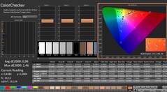 CalMAN: ColorChecker (kalibriert)