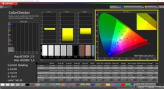 CalMAN ColorChecker (Profil: Nativ, Zielfarbraum P3)