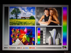 Große IPS-Betrachtungswinkel. Farben und Kontrast verschlechtern sich im Vergleich zu Mini-LED jedoch leichter