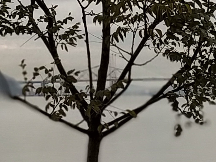 Bokeh-Simulation mit der finalen Hydrogen One-Software laut PocketNow-Test.