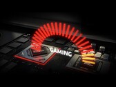 Die AMD Radeon RX 6700M macht in neuen Gaming-Benchmarks eine gute Figur. (Bild: MSI)