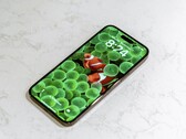 Der Bildschirm des Apple iPhone 14 Pro Max stellt bei DisplayMate 15 Rekorde auf. (Bild: Jeremy Bezanger)