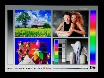 Honor 7S - Blickwinkelstabilität