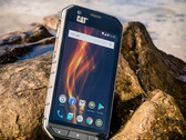 Das Rugged-Smartphone Cat S31 ist verfügbar