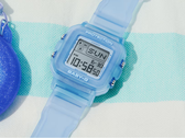 Die Casio BGD10KG-2 (abgebildet)