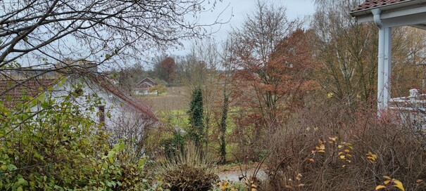 Aufnahme mit der Hauptkamera