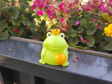 Aufnahme mit der Hauptkamera