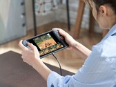 Die Nintendo Switch 2 kann im Handheld-Modus keine überzeugende HDR-Darstellung liefern. (Bildquelle: Nintendo)