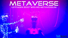 Metaverse noch weitgehend unbekannt, Leitfaden zeigt Weg ins Metaversum.