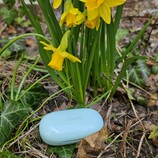 Huawei FreeBuds SE TWS