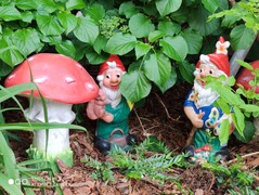 Xiaomi Mi 9 - 2x-Zoom