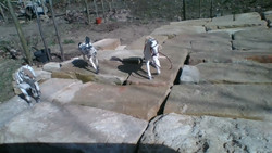 Unbrauchbar: 720p-Webcam mit starkem Rauschen