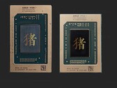 AMD Ryzen 7040H und Ryzen 7040HS unterscheiden sich unter anderem durch ihre Package-Größe. (Bild: Golden Pig Upgrade)