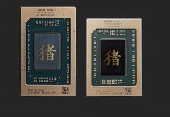 AMD Ryzen 7040H und Ryzen 7040HS unterscheiden sich unter anderem durch ihre Package-Größe. (Bild: Golden Pig Upgrade)