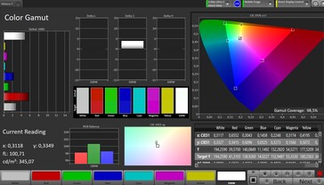 CalMAN Farbraum sRGB