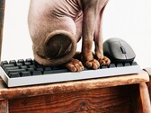 Wallhack steigt in den Markt für Gaming-Tastaturen und Mäuse ein.