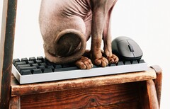 Wallhack steigt in den Markt für Gaming-Tastaturen und Mäuse ein.