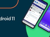 Android 11 steht ab sofort für ausgewählte Smartphones zur Verfügung. (Bild: Google)