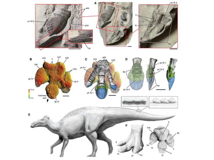 (Bildquelle: Science.org)