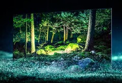 Samsungs QD-OLED Smart TVs sind bisher ausschließlich mit einer Diagonale von 55 Zoll und 65 Zoll erhältlich. (Bild: Samsung)