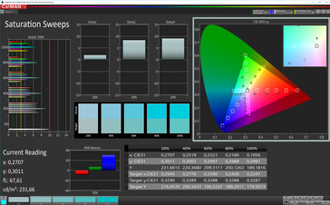 CalMan Farbsättigung (Zielfarbraum sRGB)