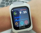 OV-Watch: Diese Smartwatch lässt sich nachbauen