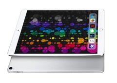 Gefangen im Bootloop: Einige iPad Pro-Tablets, insbesondere das 10,5 Zoll-Modell, starten mit iPadOS 13.4 und höher ständig neu.