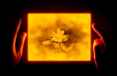 Das Daylight Tablet setzt auf ein reflektives LCD, um die Augen zu schonen. (Bild: Daylight Tablet)