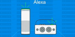 Amazon Alexa Sprachdienst: Ohne Scheiß - null Problemo!