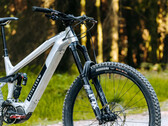 Das Privateer E-161 bietet eine gehobene Ausstattung samt Shimano EP801 für 7.499 Euro UVP. (Bild: Privateer)