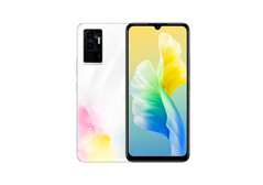 Das Vivo S10e ist mit einer Rückseite mit ungewöhnlichem Wasserfarben-Muster erhältlich. (Bild: Vivo)