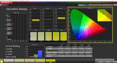 CalMAN Sättigung (Profil: P3, Zielfarbraum: P3)