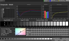 Graustufen (Profil: Professionell, Zielfarbraum: sRGB)