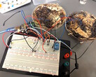 Zwei Pilz-Speicherzellen wurden für Testzwecke an ein Arduino UNO Mikrocontroller-Entwicklungsboard angeschlossen. (Bildquelle: LaRocco, J. et al. via PLOS One)