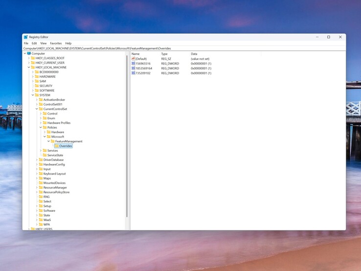 So sieht der entsprechende Registry-Pfad nach dem Hinzufügen der drei Einträge aus.