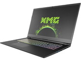 Schenker XMG Pro 17 mit RTX 3080 im Laptop-Test: Gedrosselter Ultra-Slim-Gamer und Workstation in Einem