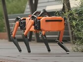 Dingo: Neuer Roboter auf Raspberry Pi-Basis