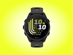Forerunner 170 hat nun zweites Beta-Update erhalten.