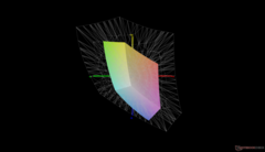 vs. Display P3: 36,6 % Abdeckung