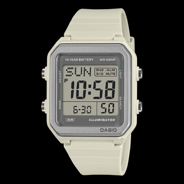 Die Casio W-221H-8A.