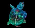 Das Gewinnerfoto zeigt einen wunderschön beleuchteten Schildkröten-Embryo. (Bild: Teresa Zgoda und Teresa Kugler)
