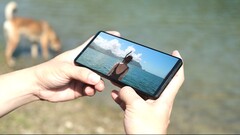 Mit neuem Display im 19,5:9 Format soll Sony im Xperia 1 VI ein Stück Bravia TV-Technologie ins handliche Smartphone-Format bringen. (Bild via Evan Blass)