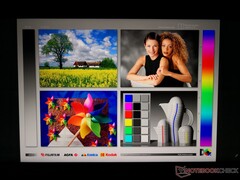 Großzügige IPS-Blickwinkel