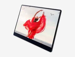 Ricoh: Zwei neue, portable OLED-Monitore mit und ohne drahtloser Bildübertragung