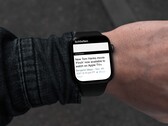 Die Apple Watch bietet jetzt einen vollwertigen Web-Browser. (Bild: Ștefan Iancu / Arno Appenzeller)