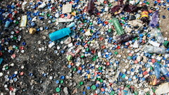 Dell kämpft mit Lonely Whale gegen den Plastimüll in den Weltmeeren